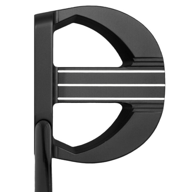 Sycamore 003 Mallet Putter